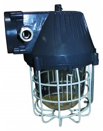 DRISHYAA 40Watt Flame Proof Light